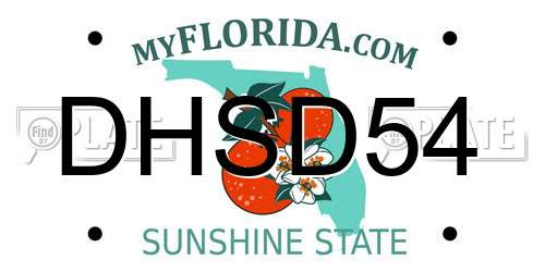 DHSD54 Florida License Plate