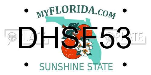 DHSF53 Florida License Plate
