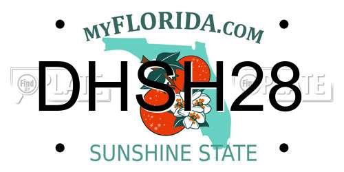DHSH28 Florida License Plate