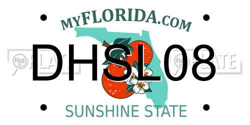 DHSL08 Florida License Plate