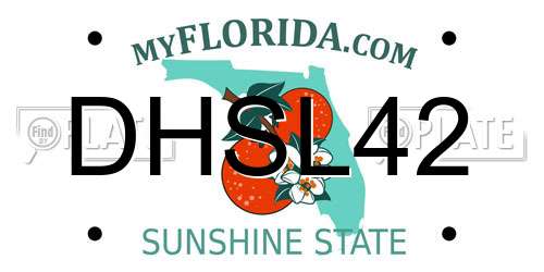 DHSL42 Florida License Plate