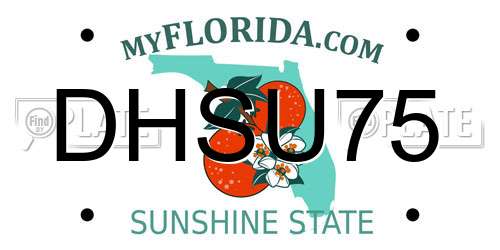 DHSU75 Florida License Plate