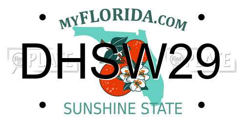 DHSW29 Florida License Plate
