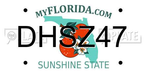 DHSZ47 Florida License Plate