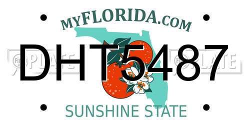 DHT5487 Florida License Plate