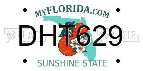 DHT629 Florida License Plate