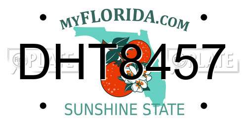 DHT8457 Florida License Plate