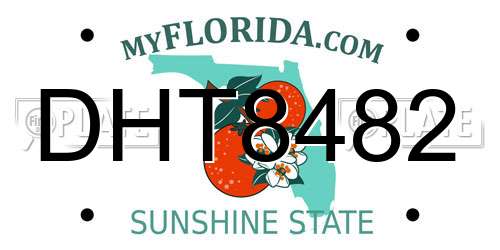 DHT8482 Florida License Plate