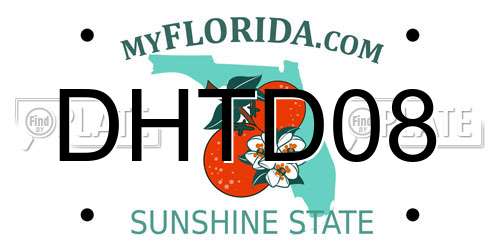 DHTD08 Florida License Plate