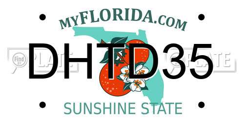 DHTD35 Florida License Plate
