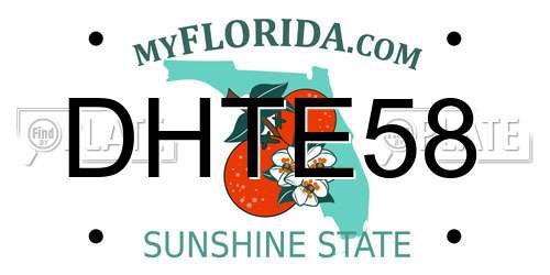 DHTE58 Florida License Plate