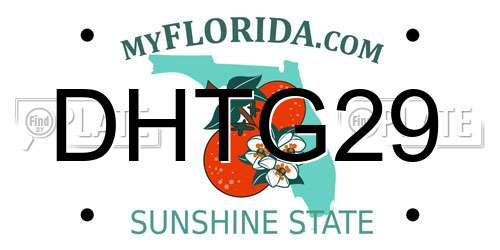 DHTG29 Florida License Plate