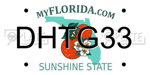 DHTG33 Florida License Plate