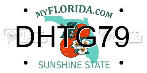 DHTG79 Florida License Plate