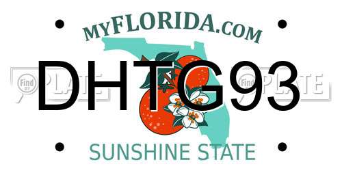 DHTG93 Florida License Plate