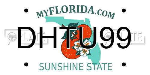 DHTU99 Florida License Plate