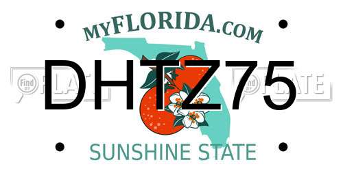 DHTZ75 Florida License Plate