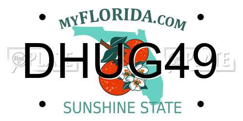 DHUG49 Florida License Plate