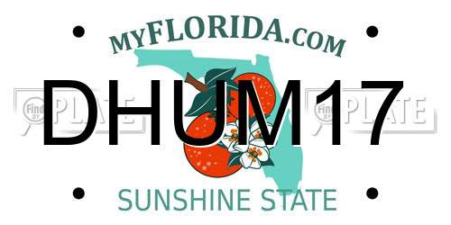 DHUM17 Florida License Plate