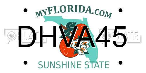 DHVA45 Florida License Plate