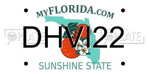 DHVI22 Florida License Plate