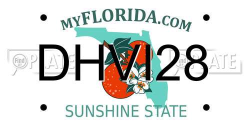 DHVI28 Florida License Plate