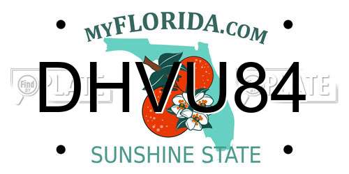 DHVU84 Florida License Plate