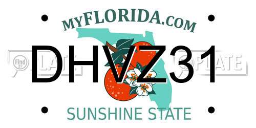 DHVZ31 Florida License Plate