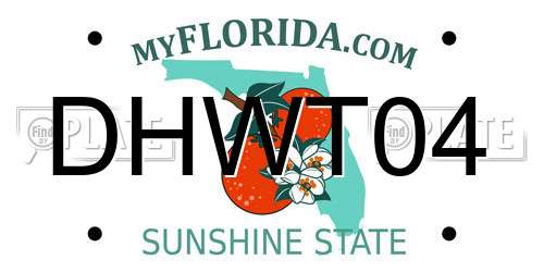 DHWT04 Florida License Plate
