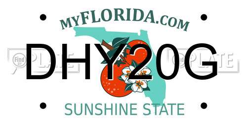 DHY20G Florida License Plate