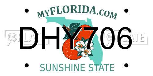 DHY706 Florida License Plate