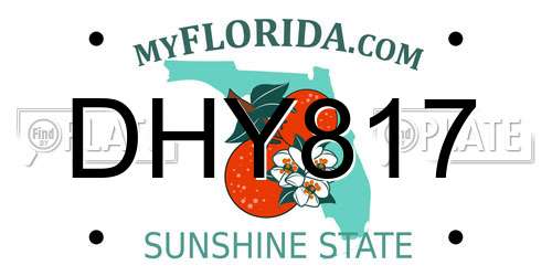 DHY817 Florida License Plate