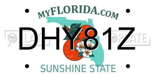 DHY81Z Florida License Plate