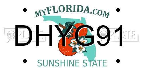 DHYG91 Florida License Plate