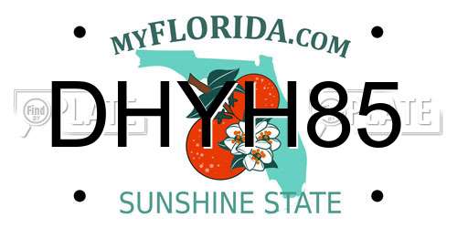 DHYH85 Florida License Plate