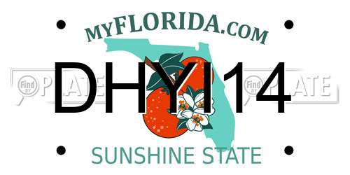 DHYI14 Florida License Plate