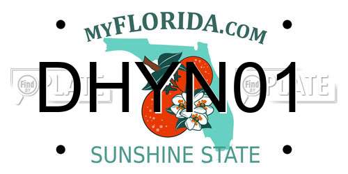 DHYN01 Florida License Plate