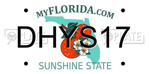 DHYS17 Florida License Plate
