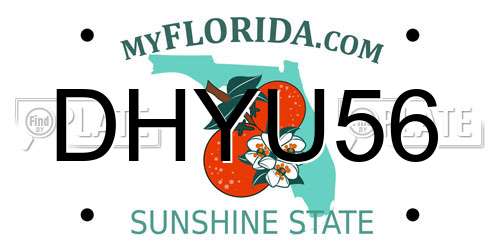 DHYU56 Florida License Plate