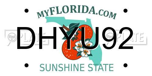DHYU92 Florida License Plate