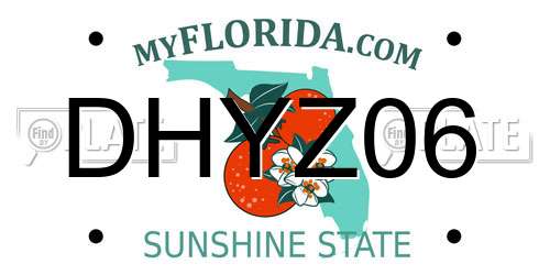 DHYZ06 Florida License Plate