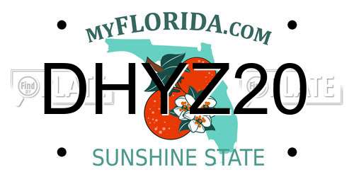 DHYZ20 Florida License Plate