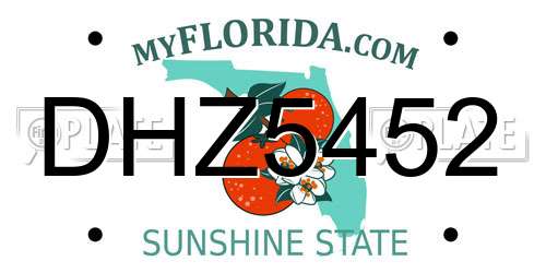 DHZ5452 Florida License Plate