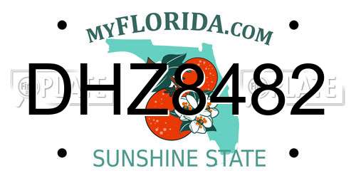 DHZ8482 Florida License Plate