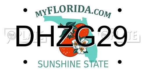 DHZG29 Florida License Plate