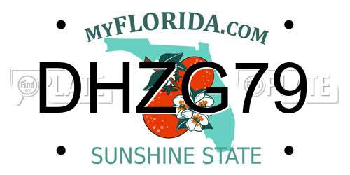 DHZG79 Florida License Plate