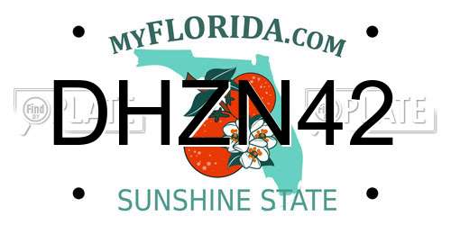 DHZN42 Florida License Plate