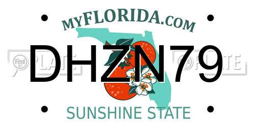 DHZN79 Florida License Plate