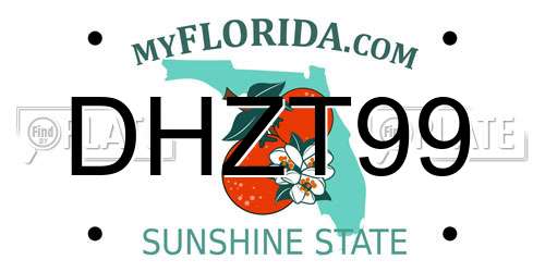 DHZT99 Florida License Plate
