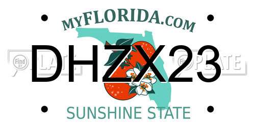 DHZX23 Florida License Plate